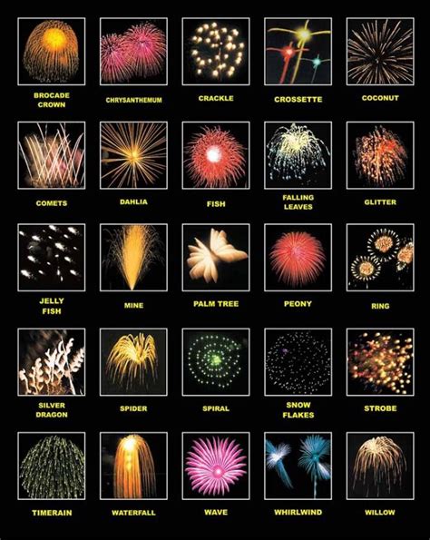 Fireworks Types and Definitions | Jake's Fireworks | Chemistry of fireworks, Fireworks, Roman candle