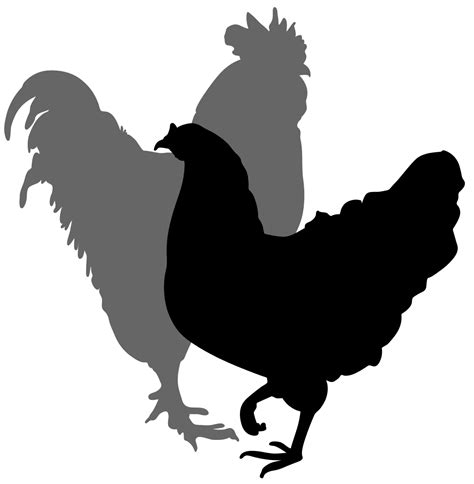 Clipart chicken shadow, Clipart chicken shadow Transparent FREE for download on WebStockReview 2022