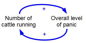 Positive Feedback Loop Diagram