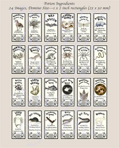 Wizard Labels Potion Ingredient Labels Squares and - Etsy | Harry ...