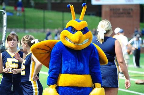 Emory & Henry Athletics To "Name The Wasp" Mascot With Fan Contest ...