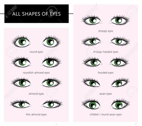 Men: What eye shape do you find to be most atractive in females ...