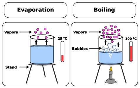 Evaporation vs Boiling: Key difference, Explanation, Examples - PSIBERG