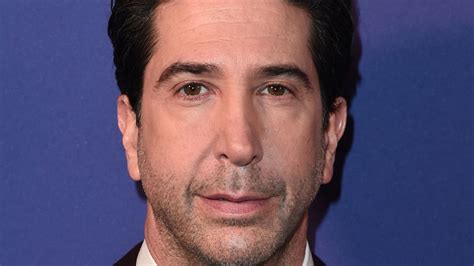 David Schwimmer - Biography | HELLO!