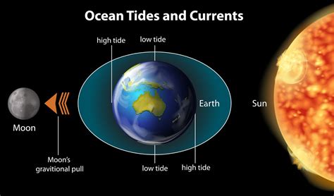 The moon is the reason why we have tides and waves on earth along with the sun it moves billions ...