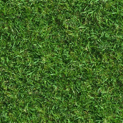 Lush Seamless Grass Texture ~ Textures ~ Creative Market