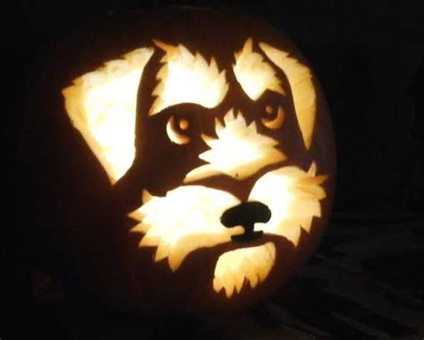 Pin by Ashley Kennedy on Pumpkin carving | Pumpkin carving, Pumpkin stencil, Dog pumpkin