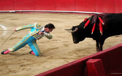 🔥 [50+] Bull Fighting Wallpapers | WallpaperSafari