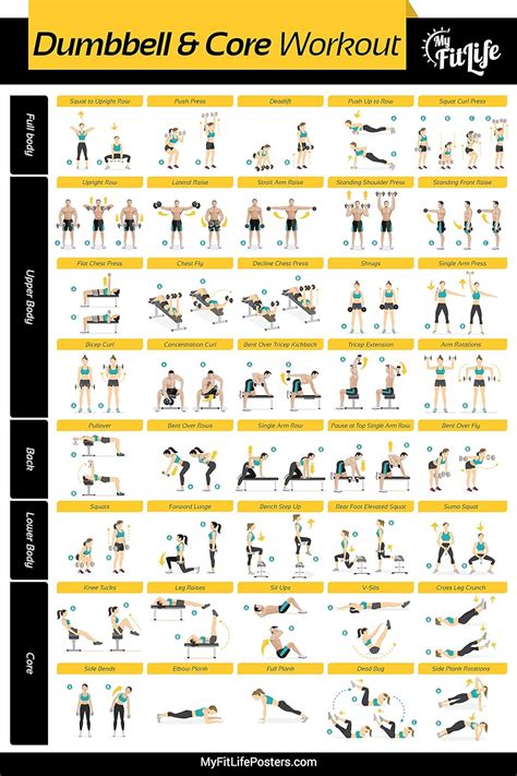List Of Gym Exercises With Pictures - Exercise Poster