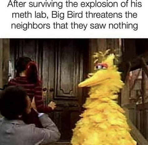 Funny Big Bird Memes | Funny Memes Fun