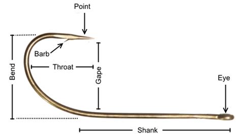 A Guide to Coarse Fishing Hooks - Fishing in Vietnam