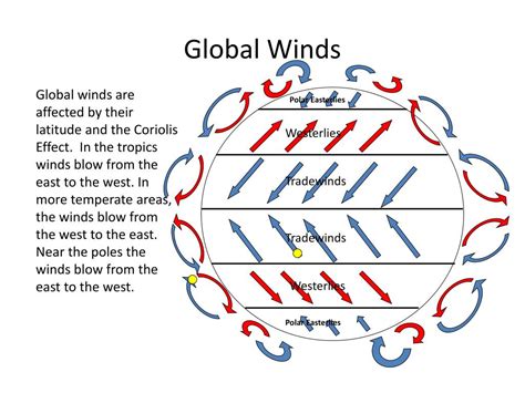 PPT - Global Wind Patterns PowerPoint Presentation, free download - ID ...