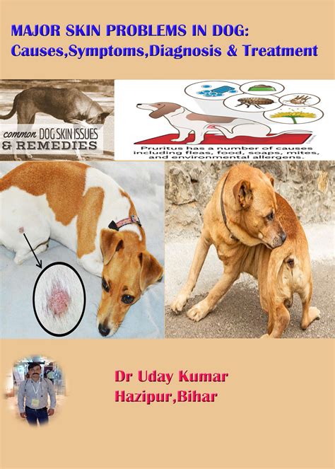 MAJOR SKIN PROBLEMS IN DOG: Causes,Symptoms,Diagnosis & Treatment | Pashudhan praharee