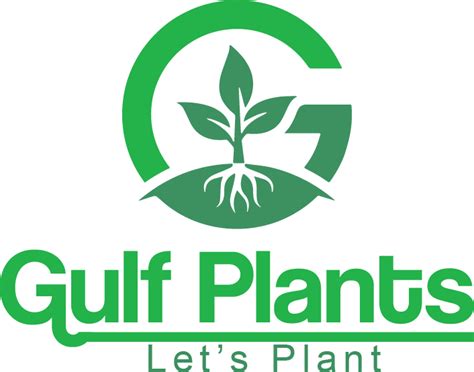indoor palms – Gulf Plants