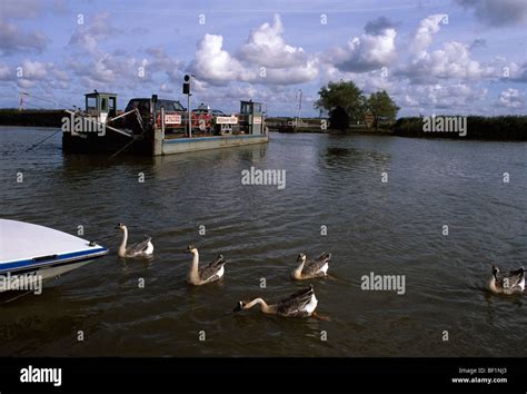 Reedham Ferry Norfolk Broads Stock Photo, Royalty Free Image: 26469131 ...