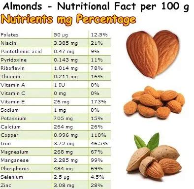 Properties and Benefits of Almonds – NatureWord