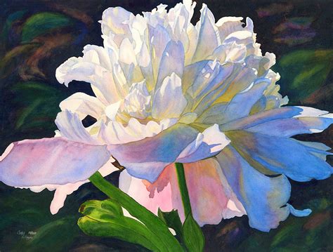 White Pink Peony Watercolor Painting Print by Cathy Hillegas - Etsy Italia | Peony painting ...