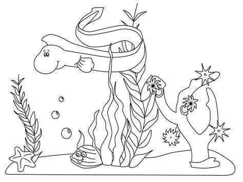 Underwater Animals Coloring Pages at GetColorings.com | Free printable ...