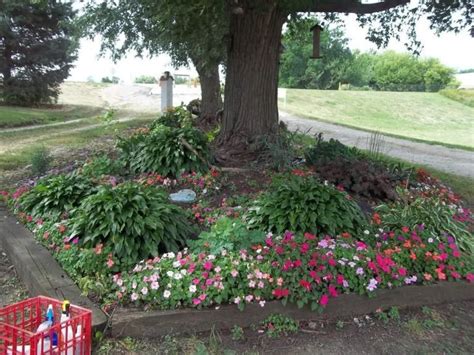 Pin on Gardening