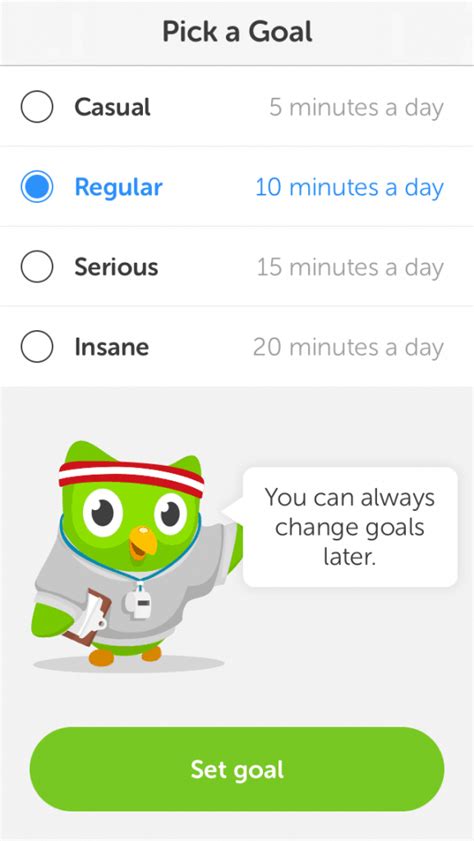 Duolingo Japanese Review - Team Japanese