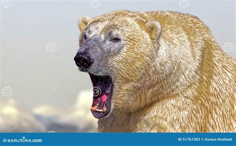 Polar Bear roar stock image. Image of roar, polar, bear - 51761383