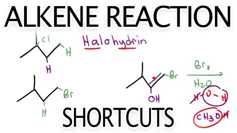 Alkene Reaction Shortcuts and Products Overview by Leah Fisch - YouTube