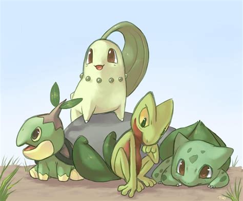 Pokemon bulbasaur chikorita 1280x1060 High Quality HD wallpaper | Pxfuel