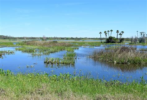 Shanna's Adventures: Orlando Wetlands Park