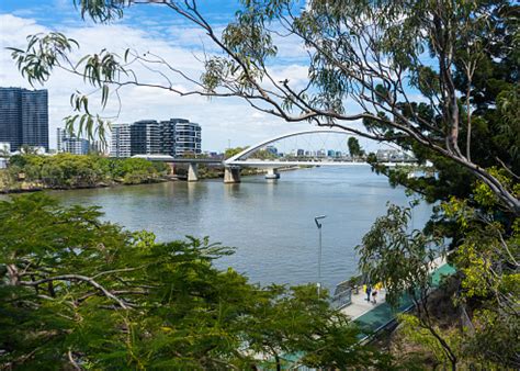 Brisbane River Pictures | Download Free Images on Unsplash