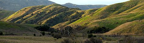 Chino Hills State Park - change comin