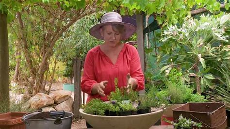 Gardening Australia episode 14 2020