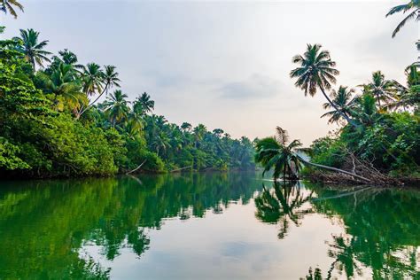 An Environmentally Friendly Guide to Kerala's Backwaters