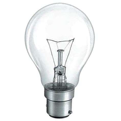 Surya Light Bulb 100W B22 GLS