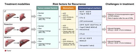 IJMS | Free Full-Text | Immunological Markers, Prognostic Factors and ...