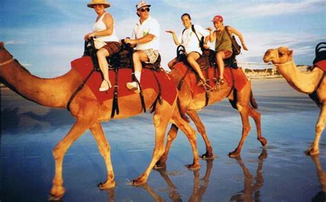 Agadir: Camel Ride Beach Tour Experience | GetYourGuide