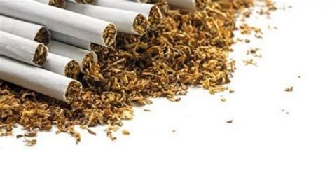 Mengenal Sejarah Rokok Kretek, Bermula sebagai Obat dari Tembakau dan Cengkih