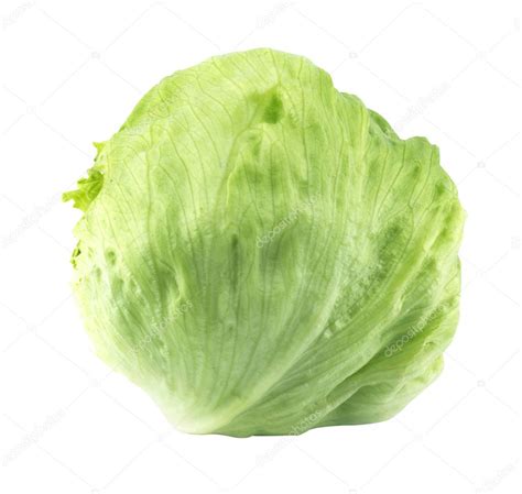 Green Iceberg lettuce Stock Photo by ©designsstock 31863735