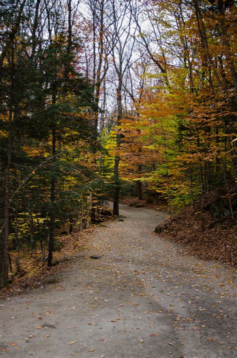 White Mountains Fall Foliage 190 by FairieGoodMother on DeviantArt