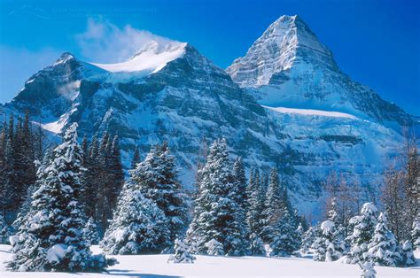 Mount Assiniboine British Columbia - Alan Majchrowicz Photography