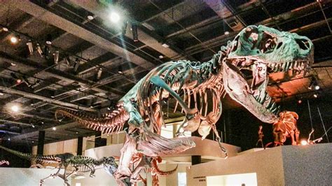 Houston Museum of Natural Science, Houston - Book Tickets & Tours