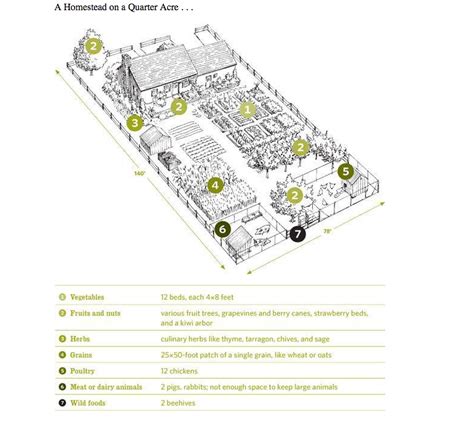 Quarter Acre Vegetable Garden Layout - Table Lamp Idea