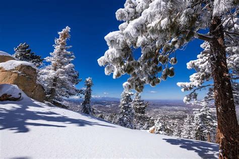 11 Places that Get Snow in California to Fuel Your Winter Wanderlust ...