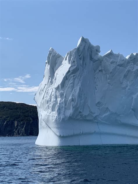 Twillingate and Iceberg Alley | Martine's food and places