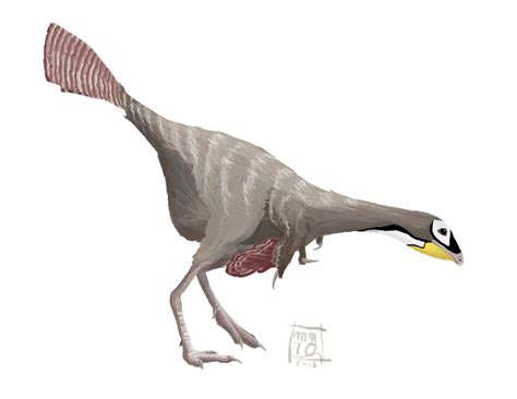 Caudipteryx zoui | Prehistoric animals, Prehistoric creatures, Feathered dinosaurs