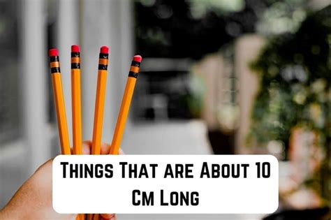 15 Common Things That are About 10 Cm Long (+Pics) | Measuringly