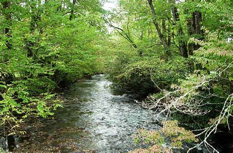 NC DEQ: Hiwassee River Basin Documents