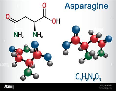 Asparagine Structure