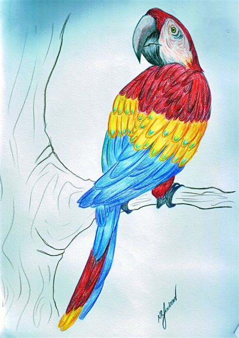 Drawings with primary colors | Colorful drawings, Color drawing art, Watercolor art lessons