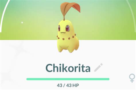 Pokémon GO Community day – Chikorita - A Daily Lee