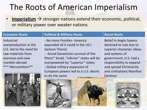 The Roots of American Imperialism in the Late 19th Century: Unveiling the Causes - 19th Century